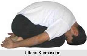 Uttana Kurmasana is also known as Upside-down Tortoise ...