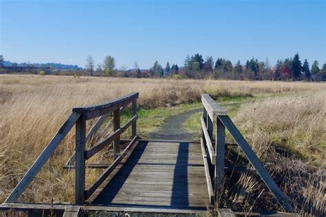 Filefootbridge Tsal Luk Wah Prairie West Eugene Wetlandsjpeg