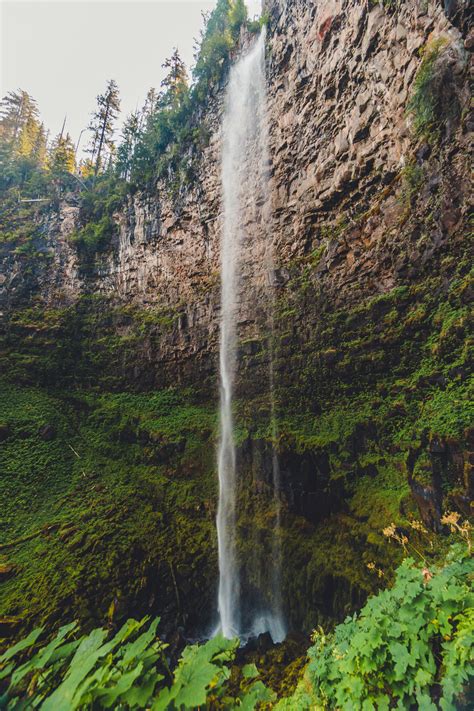 Best Waterfall Hikes In Umpqua National Forest The Luxury Lowdown