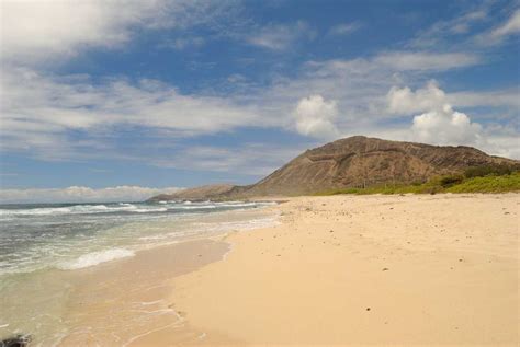 Sandy Beach Usa Beaches In Honolulu Holidify