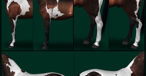 Sims Horses Tobiano Horse Markings Pack By Eldervinefields