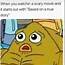 Varsity Terrier Mix Slouchy Tee  Funny Spongebob Memes