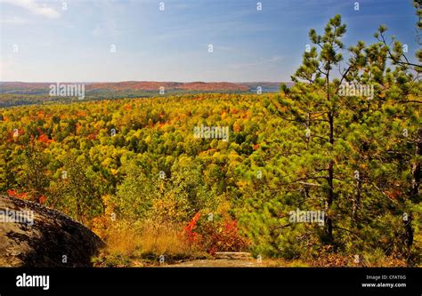 Algonquin Park In Fall View From Lookout Trail Ontario Canada Stock