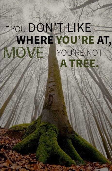 Best Tree Quotes Tree Pictures Quotes