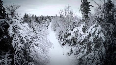 Snow Covered Path In The Middle Of The Woods Youtube
