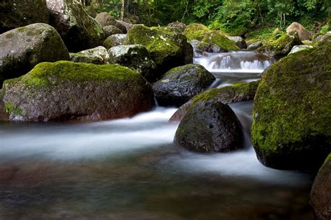 Rocks With Moss And River With Fog Hd Wallpaper Wallpaper Flare
