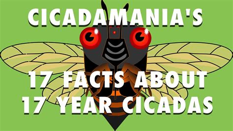 Some people call them locusts but they're really cicadas. 17 Facts About 17 Year Cicadas - great video. Brood V is ...