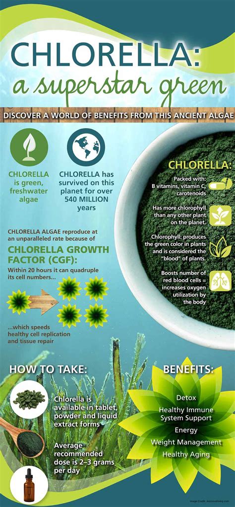 A judgment in one's favor when the evidence is neither for one nor against one. Add Chlorella As A Superfood For Your Daily Meal