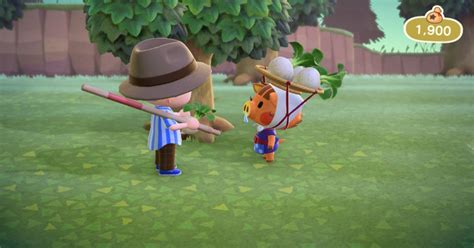 While new horizons undeniably has the best fashion items and dressing interface of the franchise, there are plenty of customizable patterns if you want to buy low and sell high, look to reddit to find islands with high buying prices. Daisy Mae's Turnip Guide - How to Buy, Sell, and Store ...