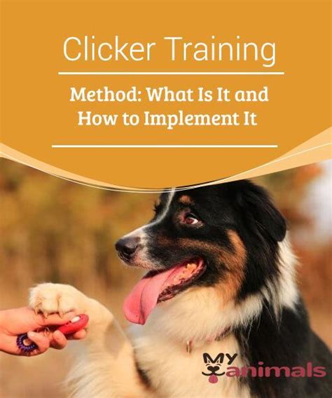 Clicker Training Method What Is It And How To Implement It Have You