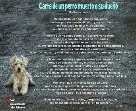 Carta De Un Perro Muerto A Su Dueño Cuando Muere Un Perro Poemas