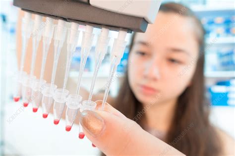 Chemistry Student Using Multi Pipette Stock Image F0183624