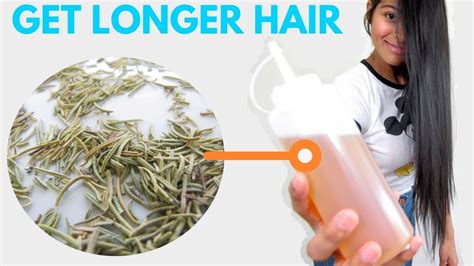 Rosemary Water For Hair Growth How To Use Rosemary For Hair Growth