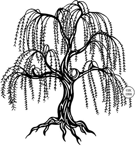 Weeping Willow Clipart 20 Free Cliparts Download Images On Clipground