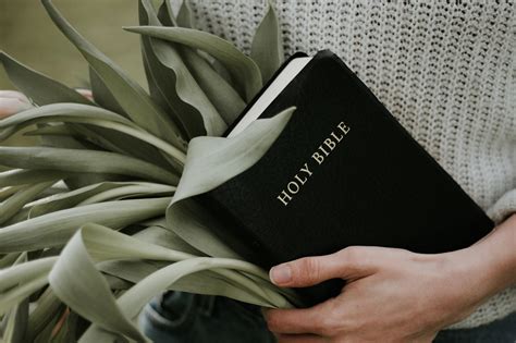 Be Renewed | Daily Devotion from Joyce Meyer