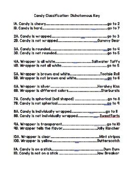 Dichotomous Key Worksheets By Elementary Science Resources Tpt