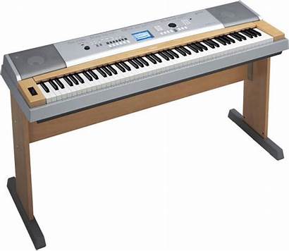 Mcquade Piano Yamaha Dgx Digital