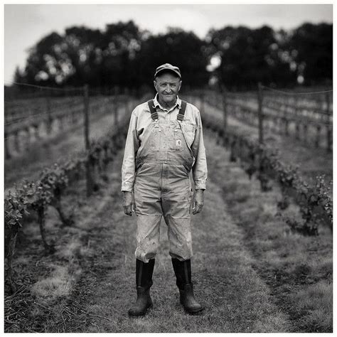 Vineyard Photography Tips And Techniques Vineyard Photography