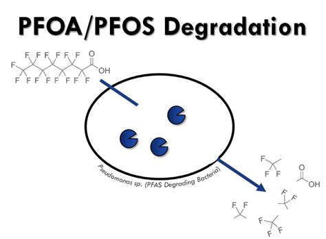 Pfas Treatment Plant For Pfas Contaminated Mining Wastewater