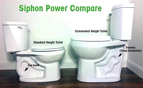 Tallest Toilet Bowl Height