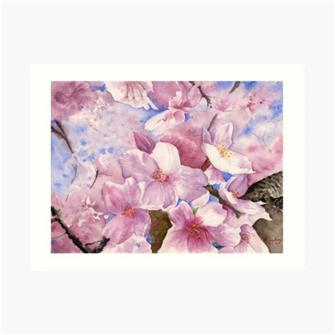 Cherry Blossom Sakura Art Watercolor Painting Print By Suisai Genk