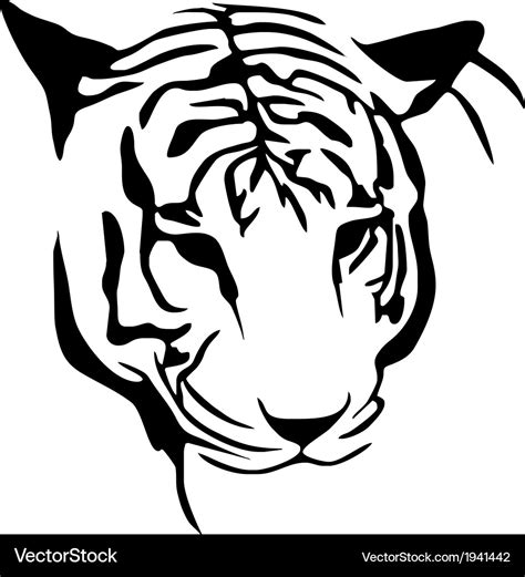 White Tiger Stencil Royalty Free Vector Image Vectorstock
