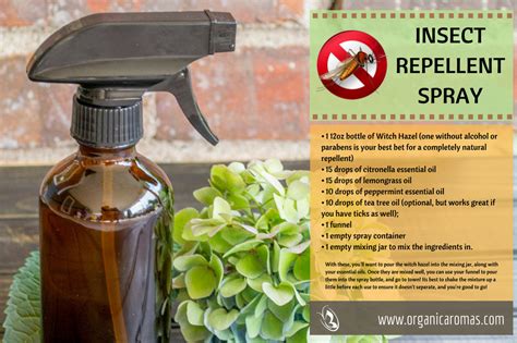 Diy Natural Mosquito Repellent Using Essential Oils Organic Aromas