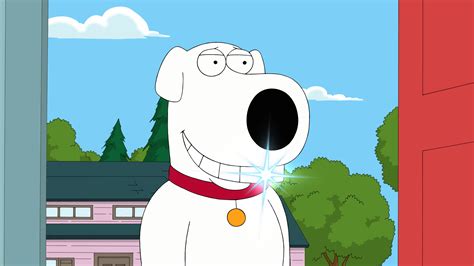 Brian Griffin Wallpaper 59 Images