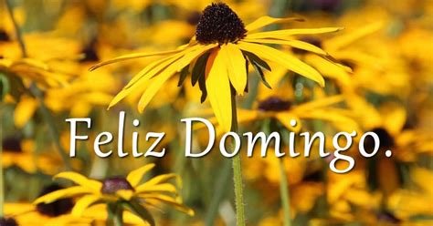 Seja lá qual for o seu oficio, aqui eu deixo o meu feliz domingo para você! Feliz domingo, carregado de luz e amor - Blog Prosa Amiga