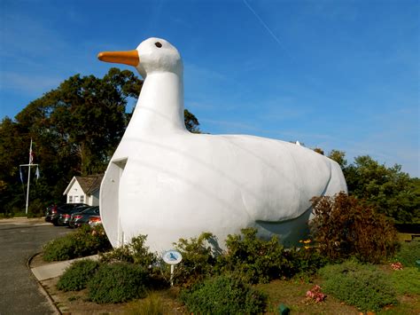The big duck is a ferrocement building in the shape of a duck located in flanders, new york, on long island. North Fork of Long Island NY: The Quieter Side of Eastern LI