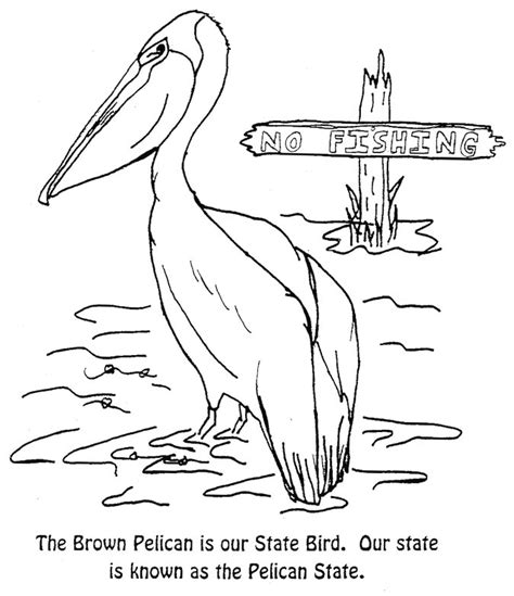 Pelican Coloring Pages