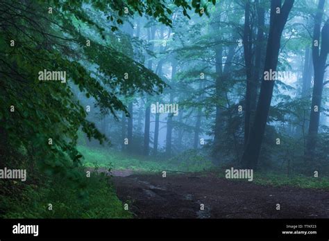 Weather Mist Fog Foggy Day Hi Res Stock Photography And Images Alamy