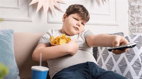 Qu Es El Sobrepeso Y Obesidad Infantil Ipenp