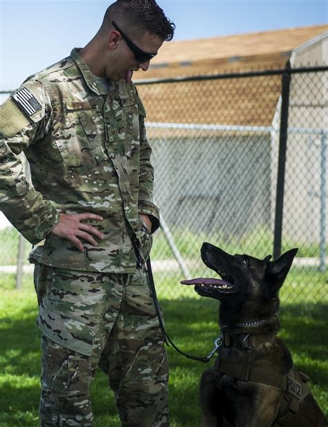 Military K 9 Unit Capabilities Forged By Respect Air Force Special