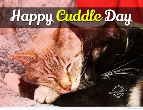 Cuddle Up Day Pictures Images Graphics For Facebook Whatsapp