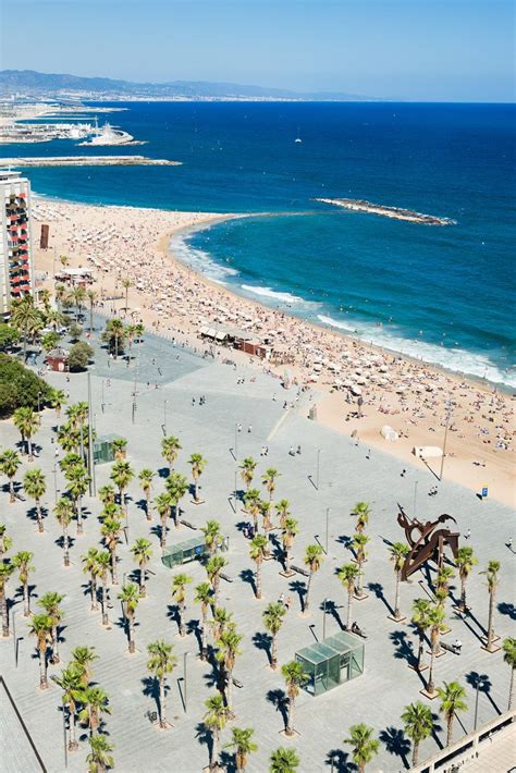 8 Best Ways To Explore Barcelona Barceloneta Beach Barcelona Travel