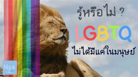 ม.33 เรารักกัน เปิดลงทะเบียน 16 ก.พ.รับ 4,000 บาท 4 สัปดาห์ รับสิทธิ 9.3 ล้านคน เงื่อนไขเดียว ไม่มีเงินฝากเกิน 5 แสนบาท นภา LGBTQ ไม่ได้มีแค่ในมนุษย์