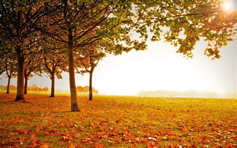 Autumn Landscape Wallpapers Wallpaper Cave