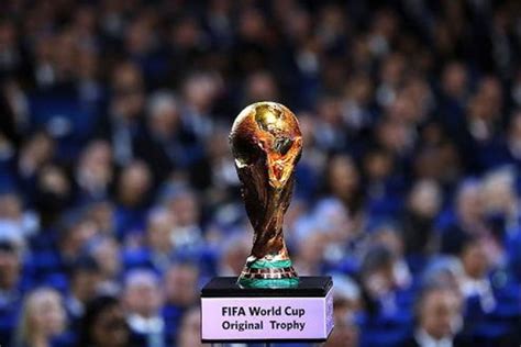 5 Amazing Facts About Fifa World Cup 2022 Qatar Voltrange Discuss