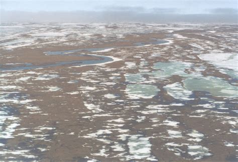 Physical Landscape The Driest Places On Earththe Tundra And The Desert