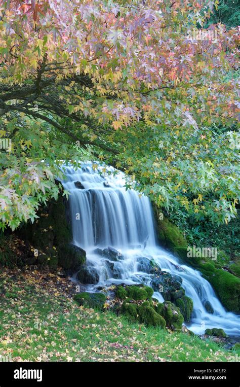 Autumn Leaves Overhang Picturesque Waterfall High Resolution Stock
