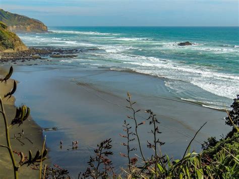 Ultimate Guide To Visiting Muriwai Beach New Zealand 2024