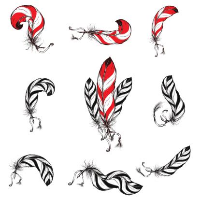 Download Native American Eagle Feathers Set Stock Illustration ...