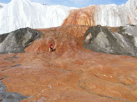 Amazing Red Waterfall In Antarctica Amazing Ezone