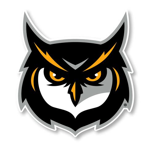 Kennesaw State University Owls Ncaa Collegiate 4 Inch Vinyl Etsy