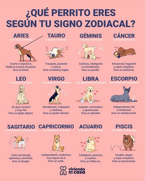 Qu Perrito Eres Seg N Tu Signo Zodiacal Consejos Para Mascotas