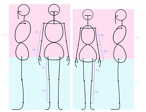 How To Draw Anime Girl Body Proportions