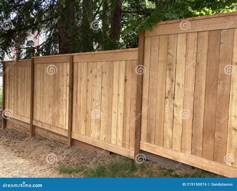 New Staggered Cedar Fencing On Slope Stock Photo Image Of Privacy