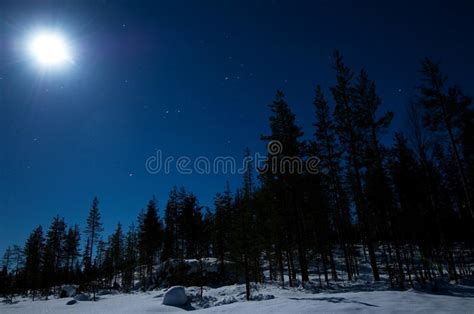 Winter Starry Night Stock Photo Image 35198450