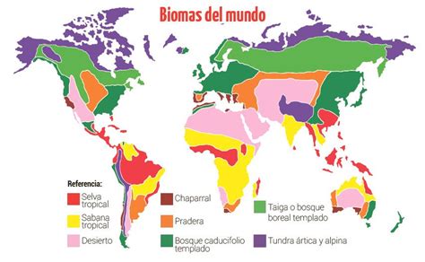 Biomas Terrestres Escolar Abc Color The Best Porn Website